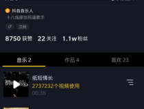 抖音音乐网红,引领潮流的音乐风向标